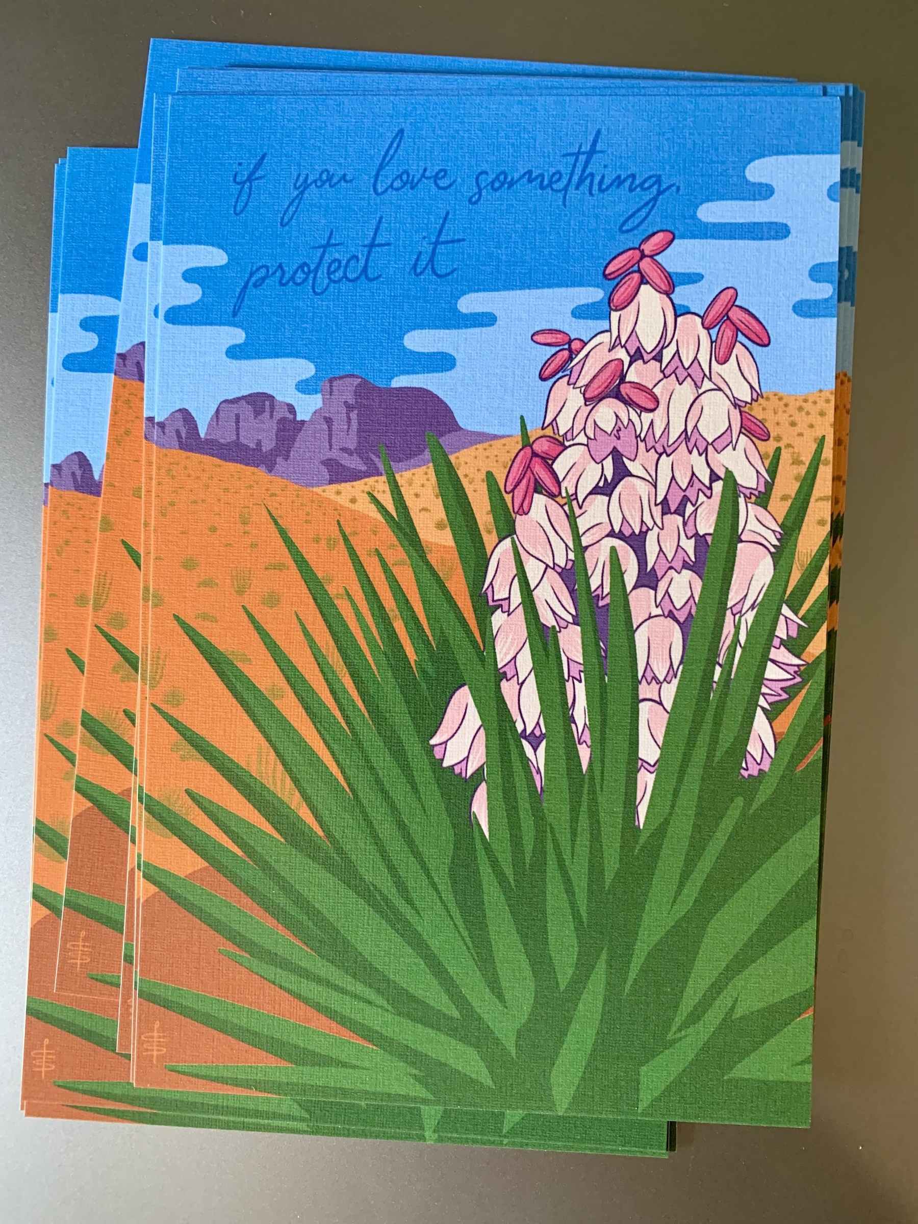 Drawing of Torrey Yucca blooming in Big Bend, with Chisos Mountains in the background. It says 'If you love something, protect it' in the blue sky.